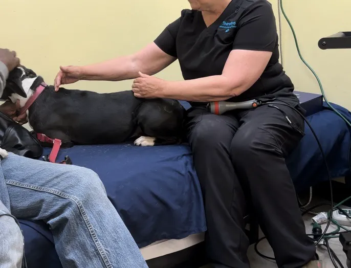 Therapaws 12