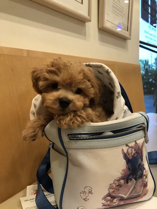 Mountain View Veterinary Hospital 8