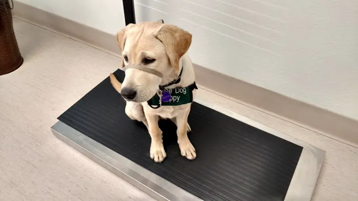 Mountain View Veterinary Hospital 7
