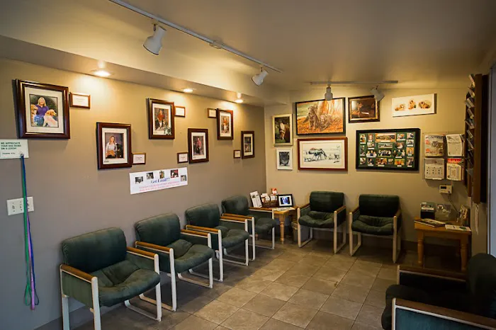 Northwest Veterinary Clinic of Stanwood 1