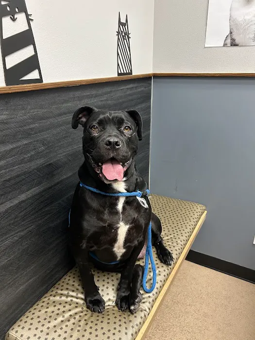 Ridgetop Animal Hospital 7