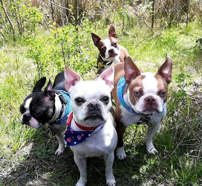 Ridgetop Animal Hospital 1