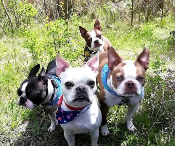 Ridgetop Animal Hospital