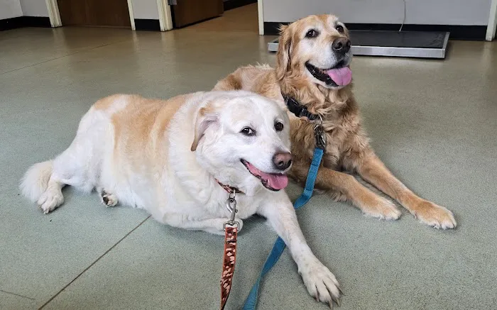 Ridgetop Animal Hospital 3