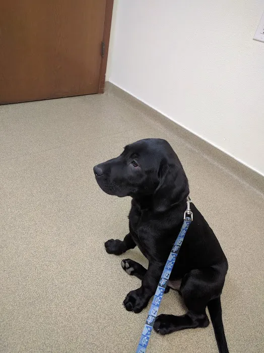 Day Road Animal Hospital 3