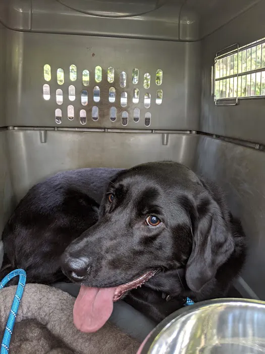 Day Road Animal Hospital 9