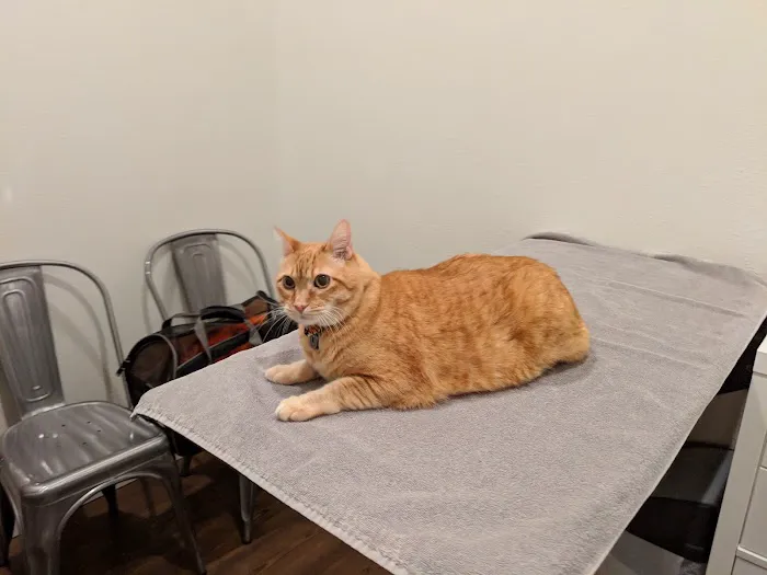 Lakeland Veterinary Hospital 12