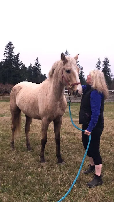 Cedar Springs Equine Veterinary Services 1