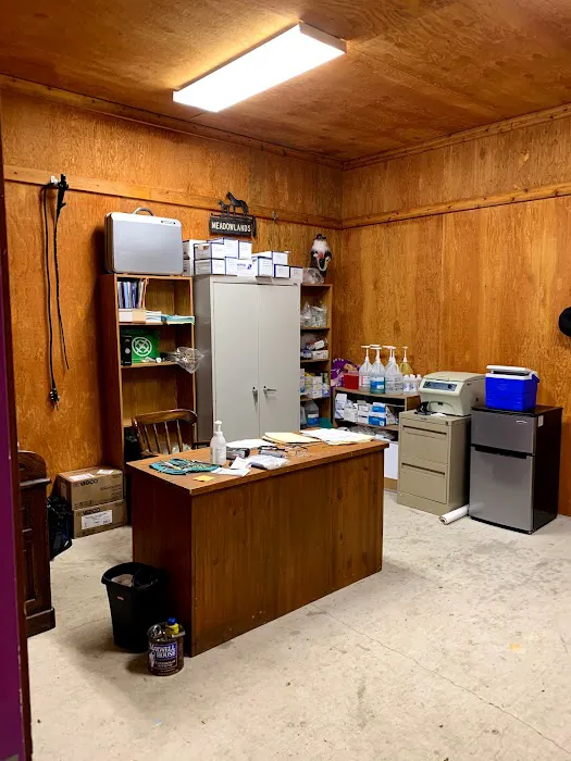 Cedar Springs Equine Veterinary Services 2