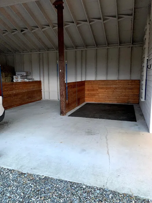 Cedar Springs Equine Veterinary Services 9