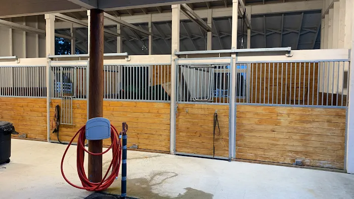 Cedar Springs Equine Veterinary Services 10