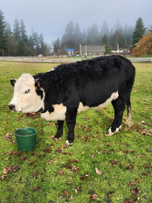 Plateau Veterinary 1