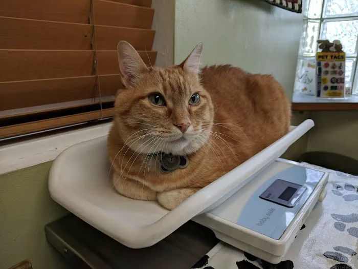 Country Animal Hospital 2
