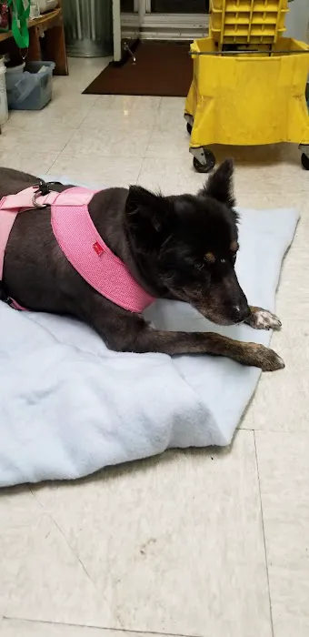 Country Animal Hospital 1