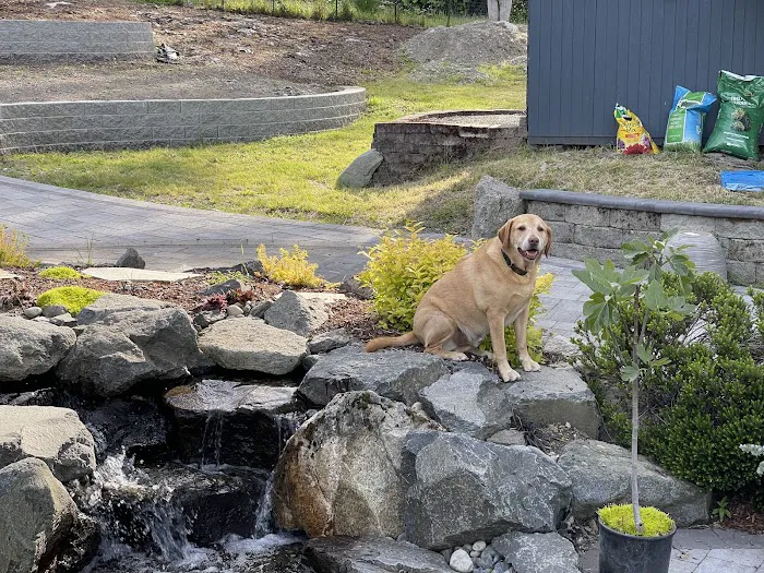 Edgewood Veterinary Clinic 8