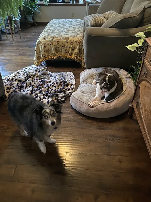 Dill Animal Hospital 7