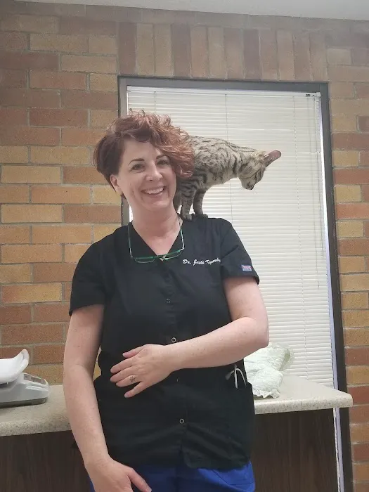 Dill Animal Hospital 9