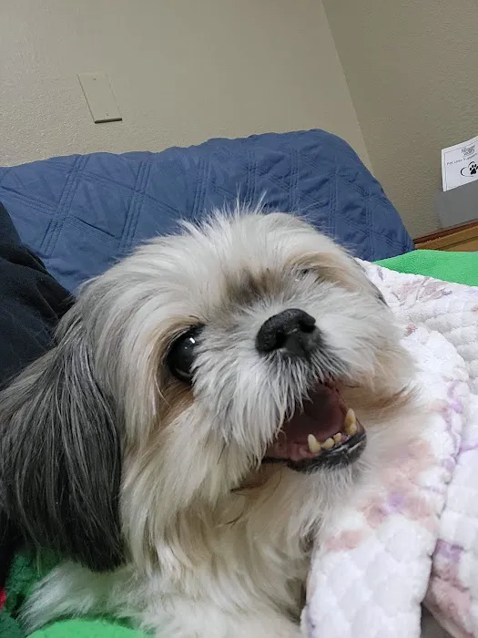 Dill Animal Hospital 5