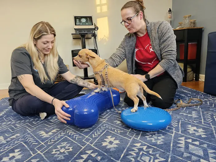 Balanced Paws Veterinary Rehabilitation 2