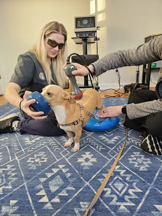 Balanced Paws Veterinary Rehabilitation 4