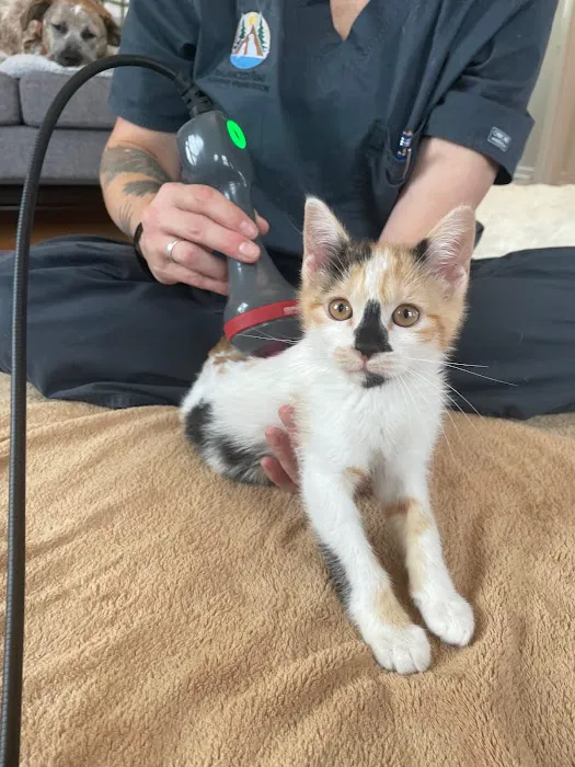 Balanced Paws Veterinary Rehabilitation 7