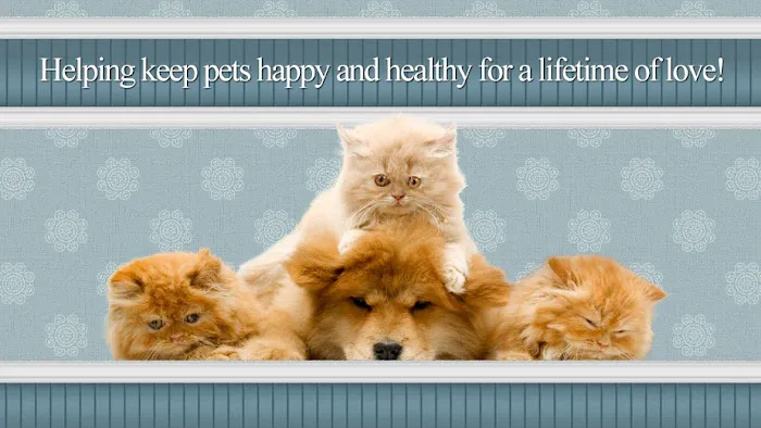 North End Pet Hospital 12
