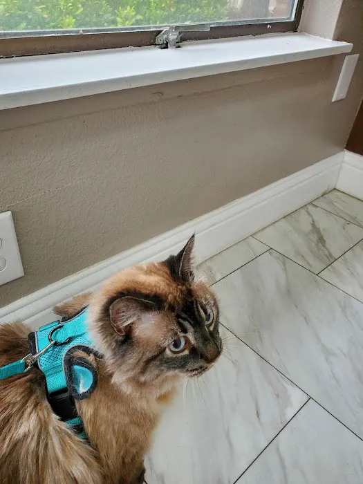 Affordable Animal Hospital 12