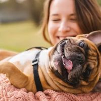 Commencement Bay Animal Hospital ico