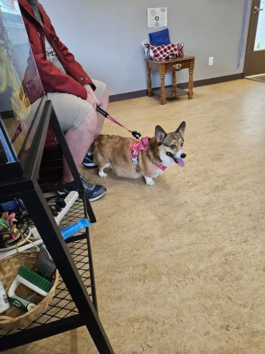 Commencement Bay Animal Hospital 12