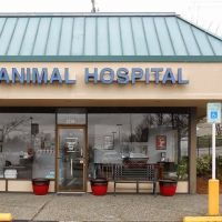 Soundview Veterinary Hospital ico