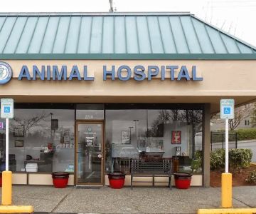 Soundview Veterinary Hospital