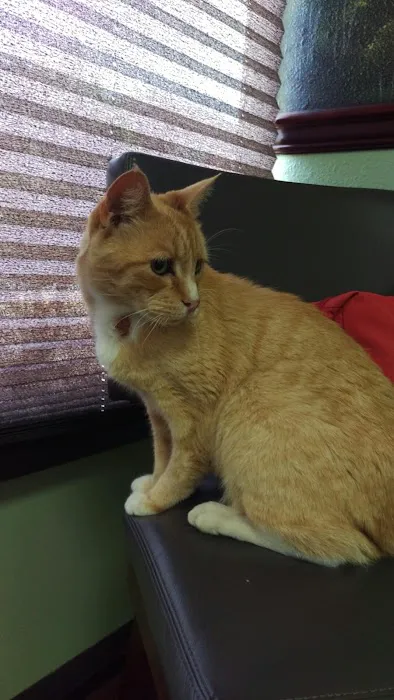 Soundview Veterinary Hospital 12