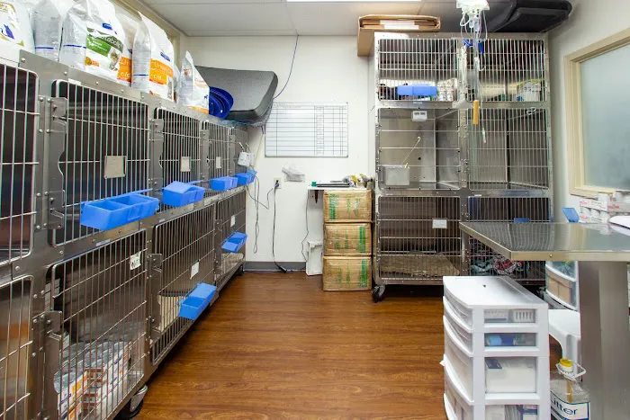 Soundview Veterinary Hospital 12