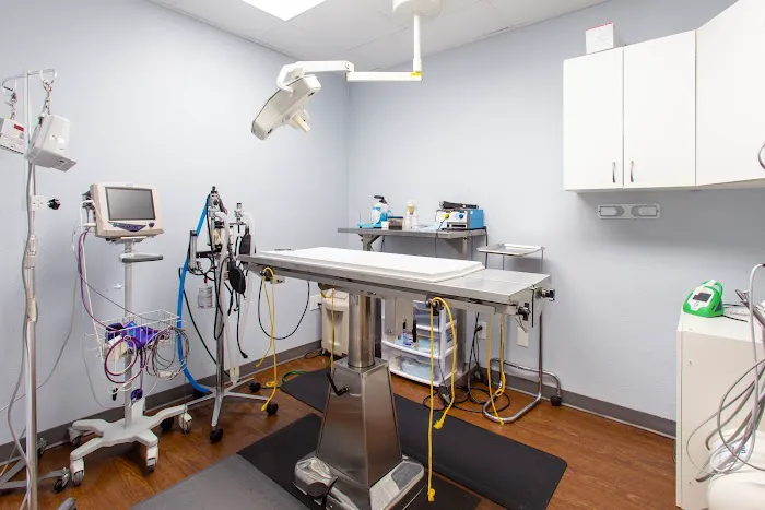 Soundview Veterinary Hospital 12