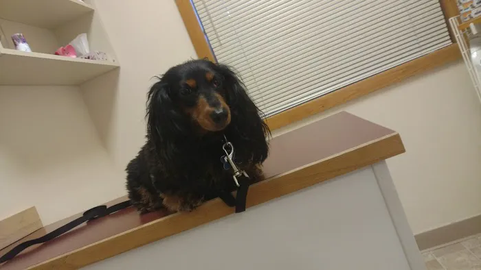 Westgate Animal Hospital 4