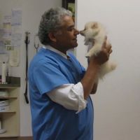 Westgate Animal Hospital ico