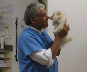 Westgate Animal Hospital