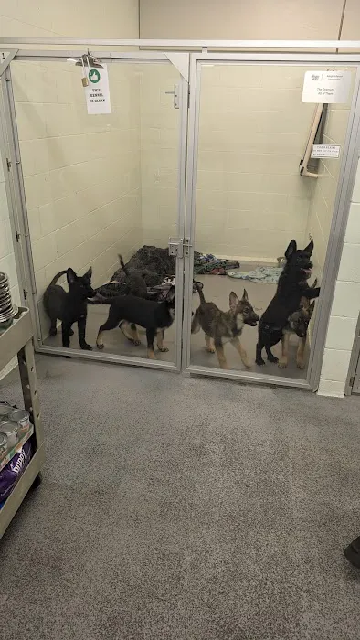 William Gazecki Animal Shelter 12