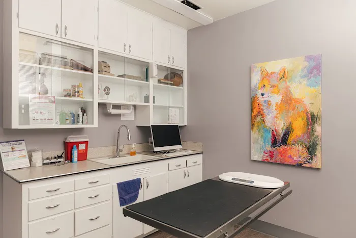 Union Avenue Veterinary Hospital 12