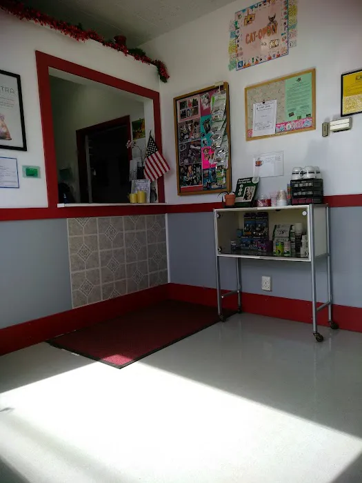 Union Avenue Veterinary Hospital 12