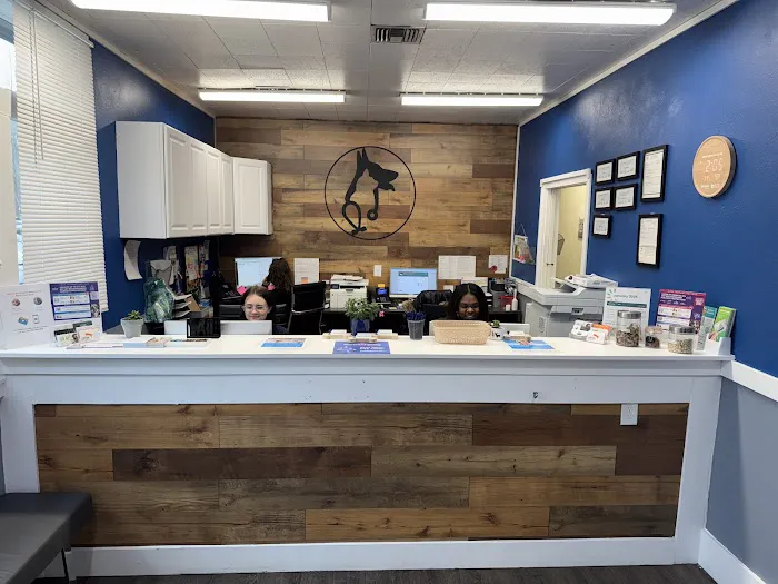 Union Avenue Veterinary Hospital 12