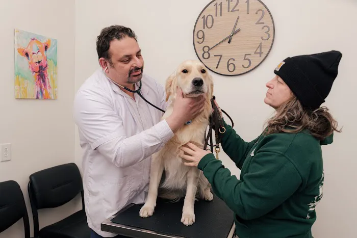 Union Avenue Veterinary Hospital 12