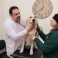 Union Avenue Veterinary Hospital ico