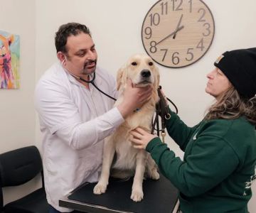 Union Avenue Veterinary Hospital