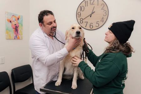 Union Avenue Veterinary Hospital