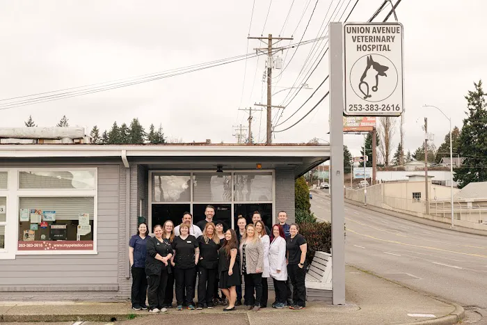 Union Avenue Veterinary Hospital 12