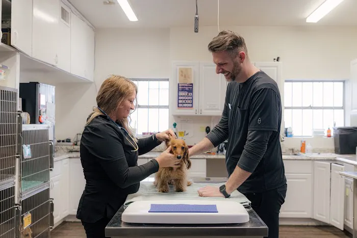Union Avenue Veterinary Hospital 12