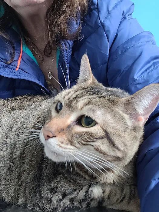 Tacoma Animal Hospital 12