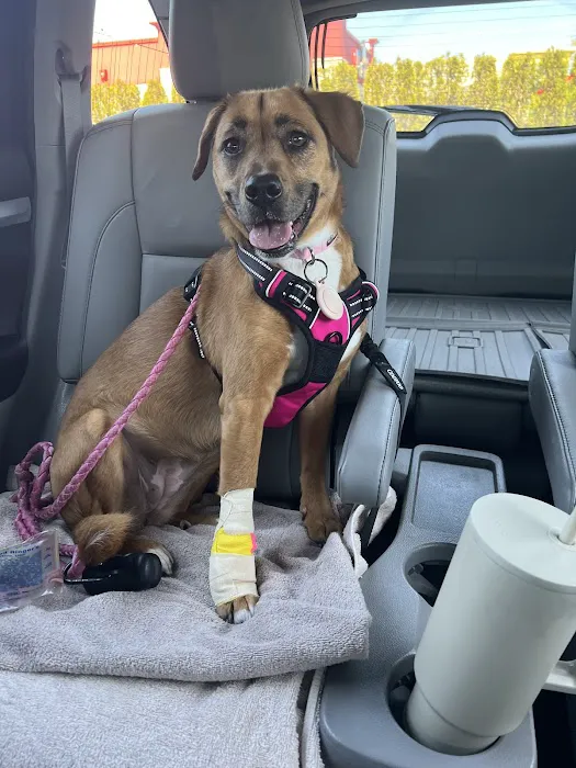 WellCare Animal Hospital +Urgent Care 12