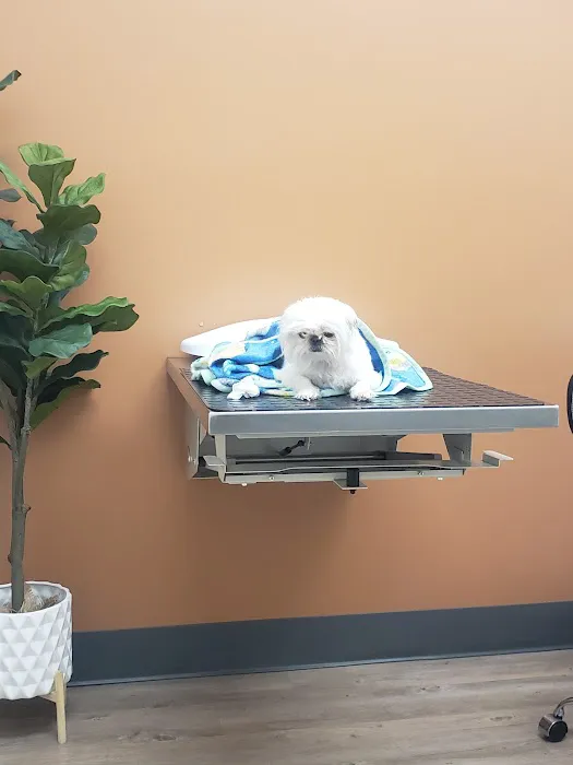 WellCare Animal Hospital +Urgent Care 12